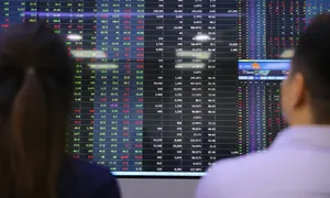 Chứng khoán được dự báo 'sớm trở lại mốc 1.300 điểm'